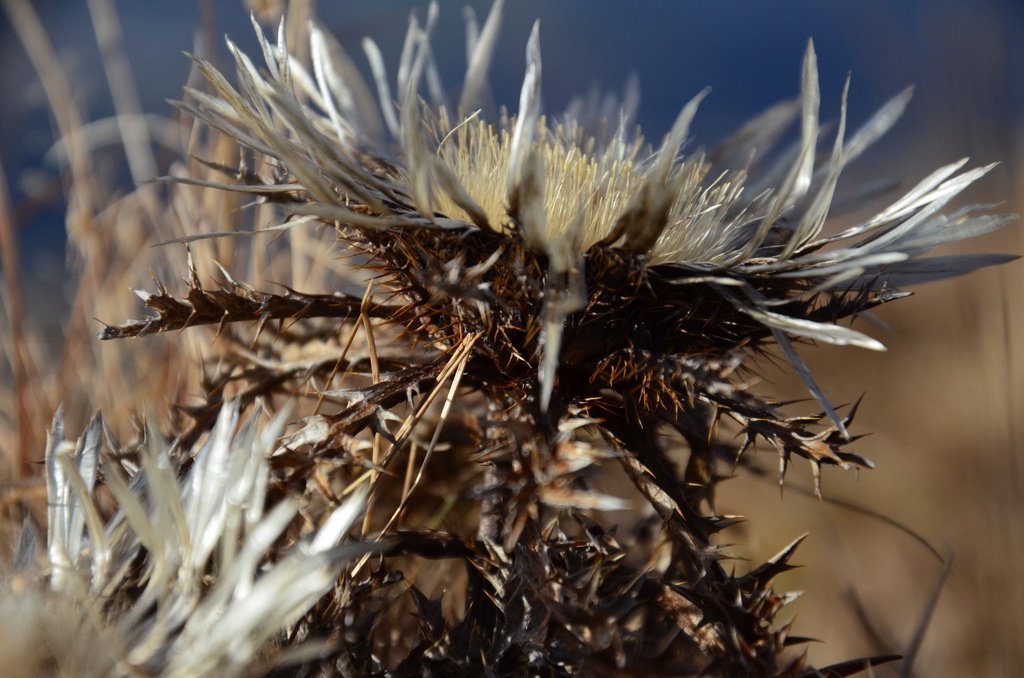 2016-12 France/Le Semnoz/DSC_0157.JPG